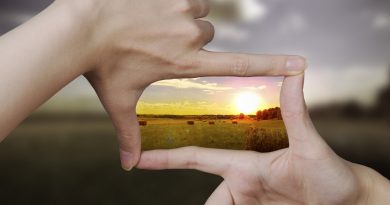 Términos y mentalidades. Re-significar Términos y mentalidades. Re-significar