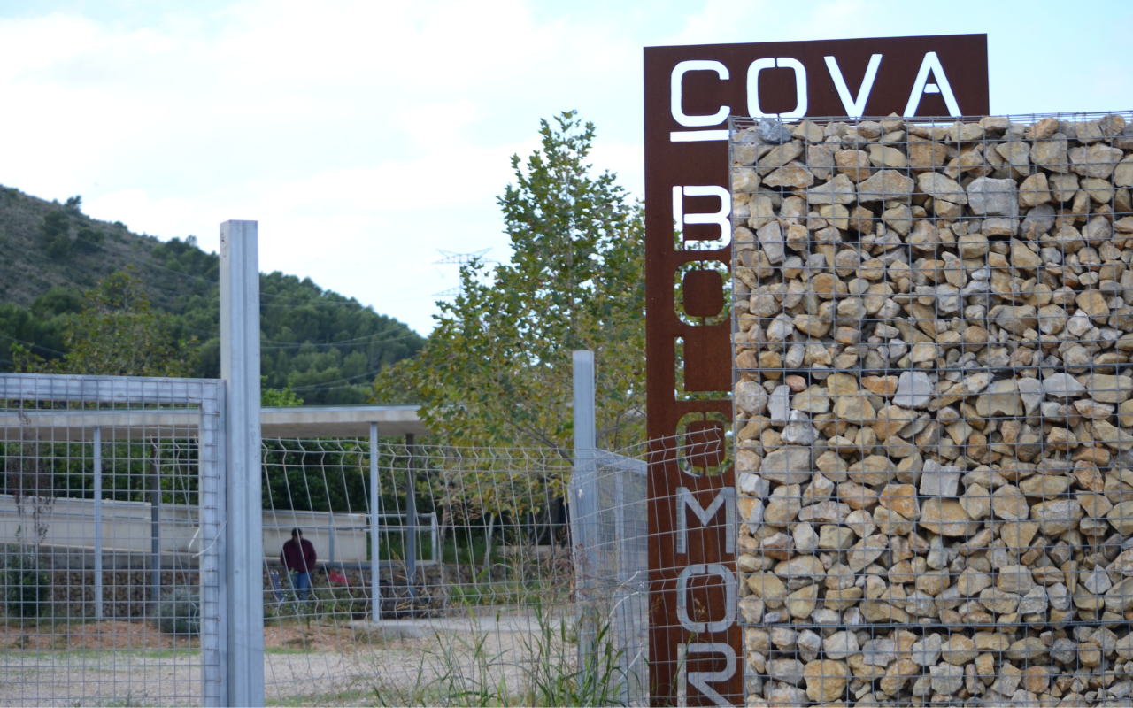 Cueva de Bolomor