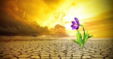 Términos y mentalidad: Resiliencia. Términos y mentalidad: Resiliencia.