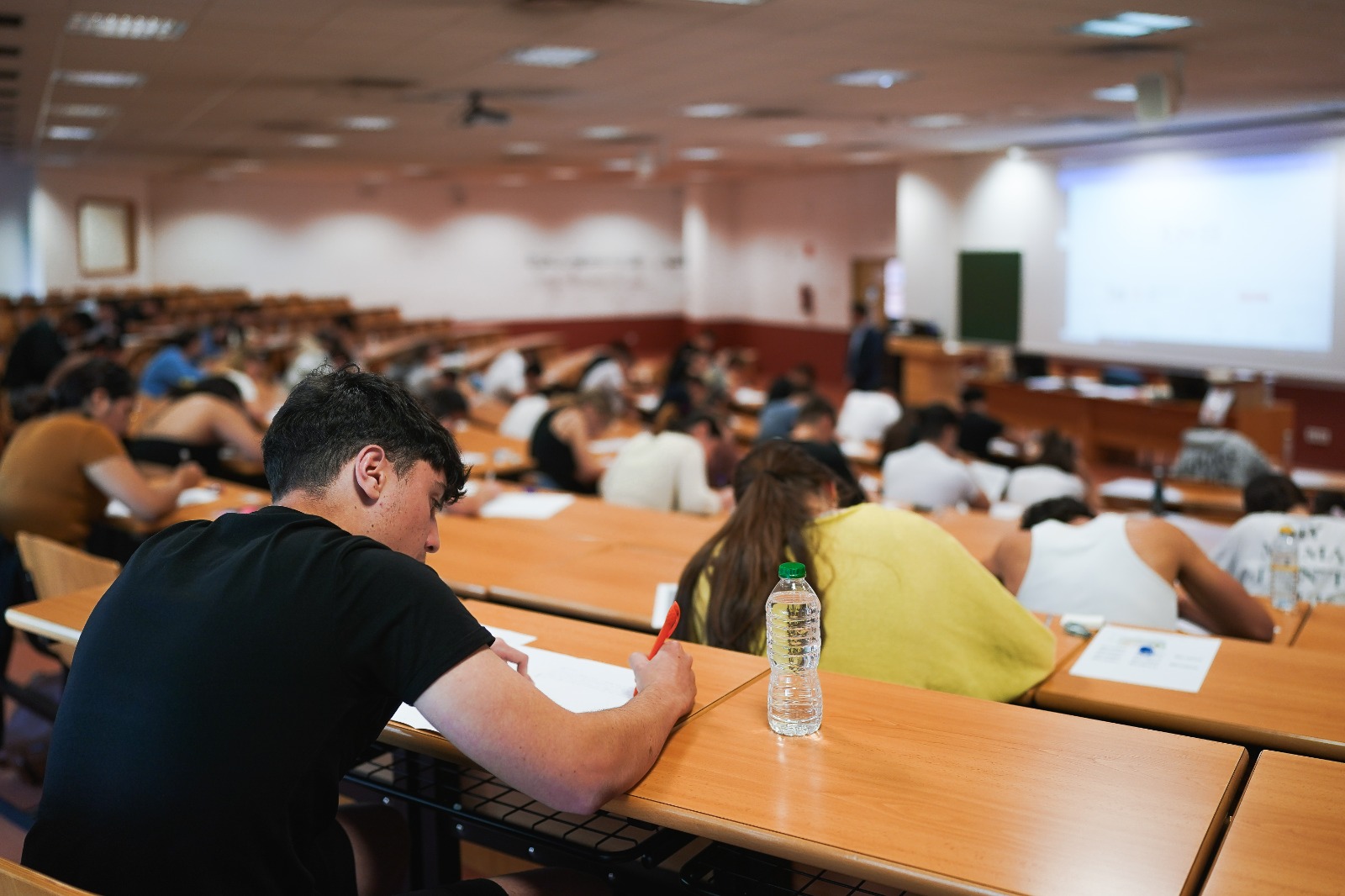 Estudiantes preparándose para una Selectividad unificada en toda España desde 2026