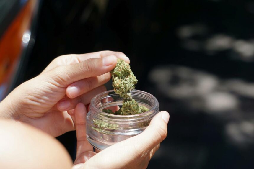 Hoja de cannabis