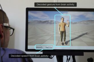 Actividad neuronal registrada en un participante con parálisis